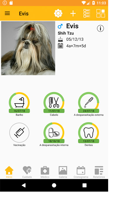 14 apps to take care of dogs with your smartphone