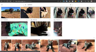 Comment migrer des photos et des vidéos d'iCloud vers Google Photos ?