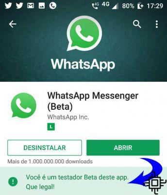 Tutorial: Make group video and voice calls on Whatsapp
