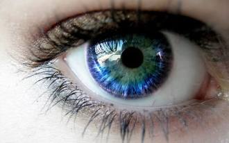 Google peut lancer une fonctionnalité qui identifie votre santé grâce à la photo de l'iris