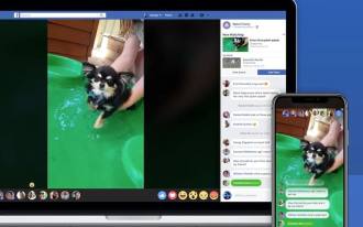 Watch Party, Facebook's new feature to watch group videos