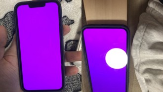 iPhone 13 : le crash laisse l'écran violet, mais Apple refuse d'échanger