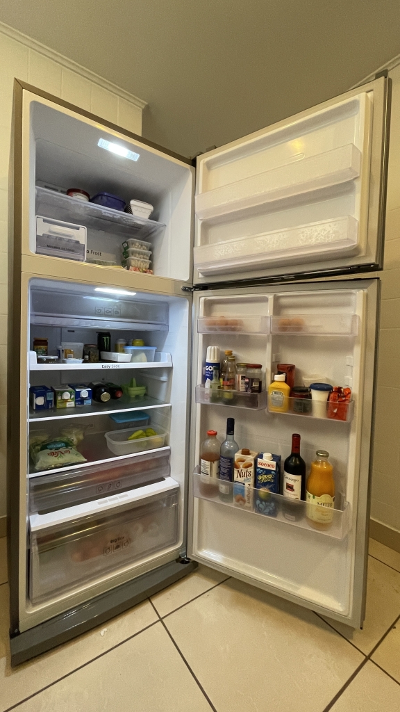 Review: Samsung Evolution RT46 refrigerator, the definition of economy and durability