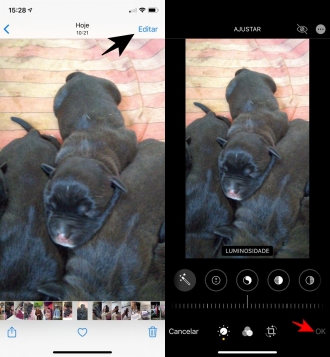 Trucs et astuces secrets de l'application Photos pour iPhone ou iPad
