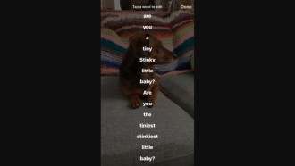 Instagram adds stickers with automatic captions to stories