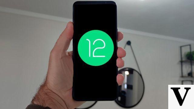 Android 12: Which phones will get the update in 2022?