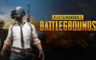 PUBG CEO comments on Sony's rigor for PS4 games
