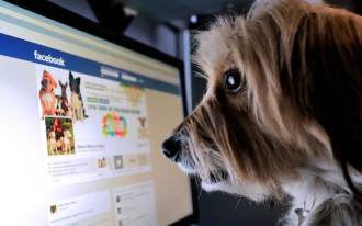 Facebook no longer allows the sale of live animals
